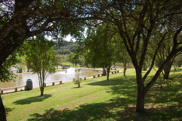 Ambiente arborizado